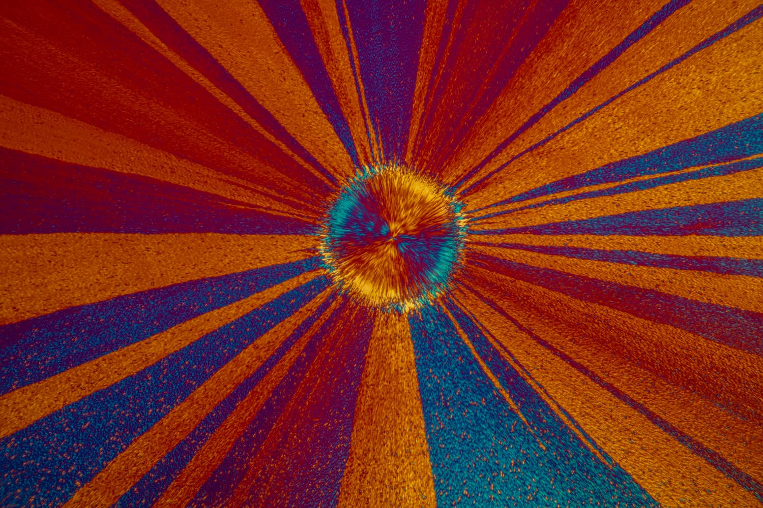 About page photograph