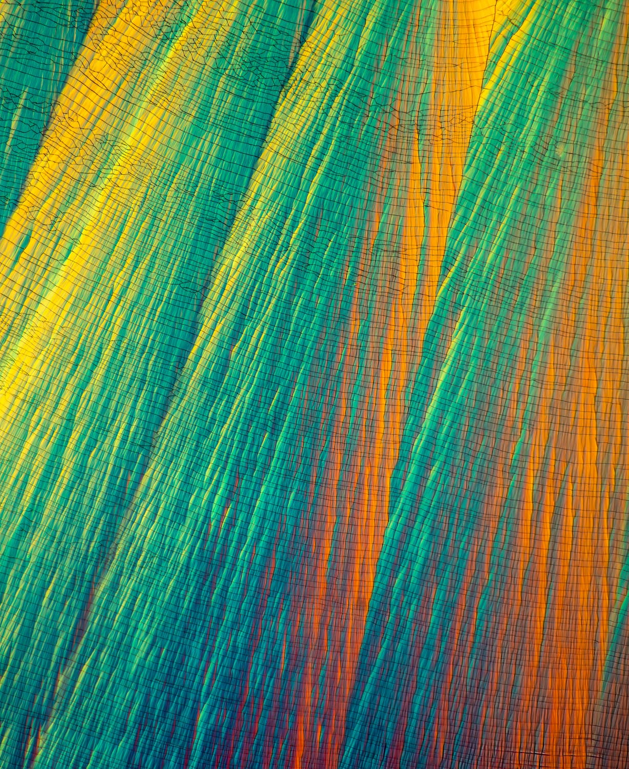 Broadcast — fine art photography by Bevil Templeton-Smith