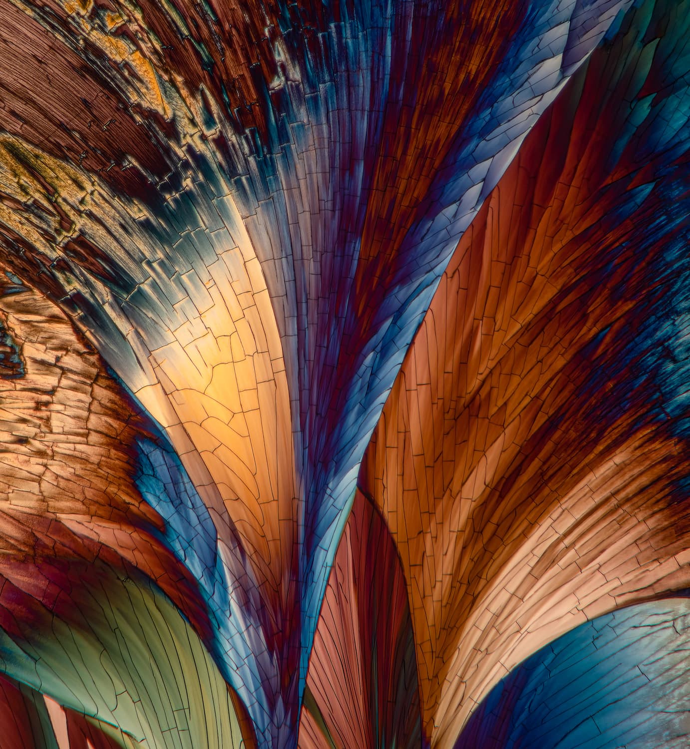 Columna II — fine art photography by Bevil Templeton-Smith