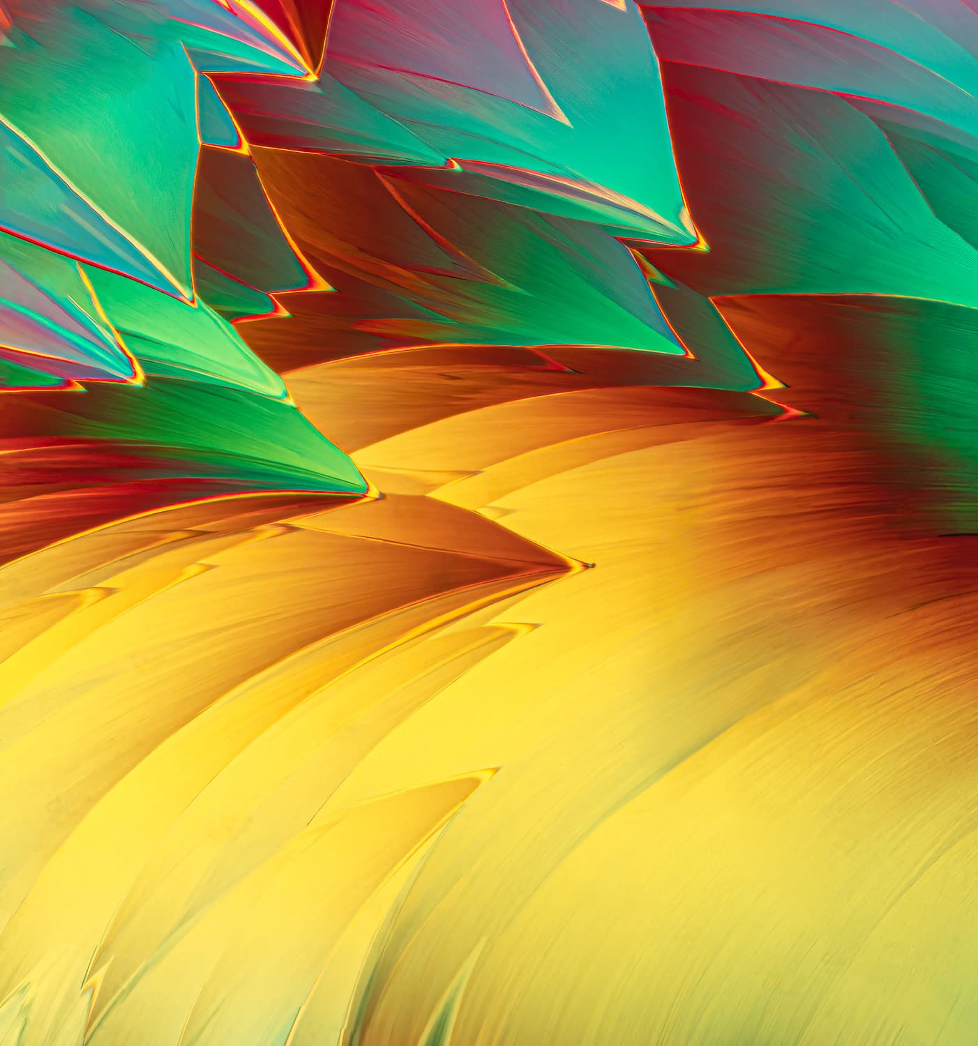 Harlequin — fine art photography by Bevil Templeton-Smith