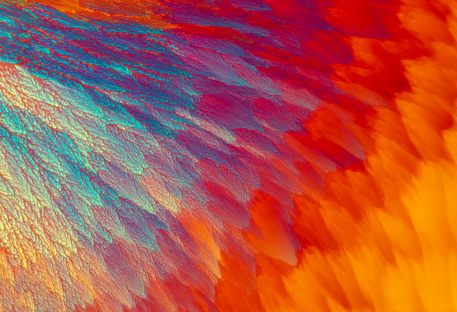 Icarus — fine art photography by Bevil Templeton-Smith