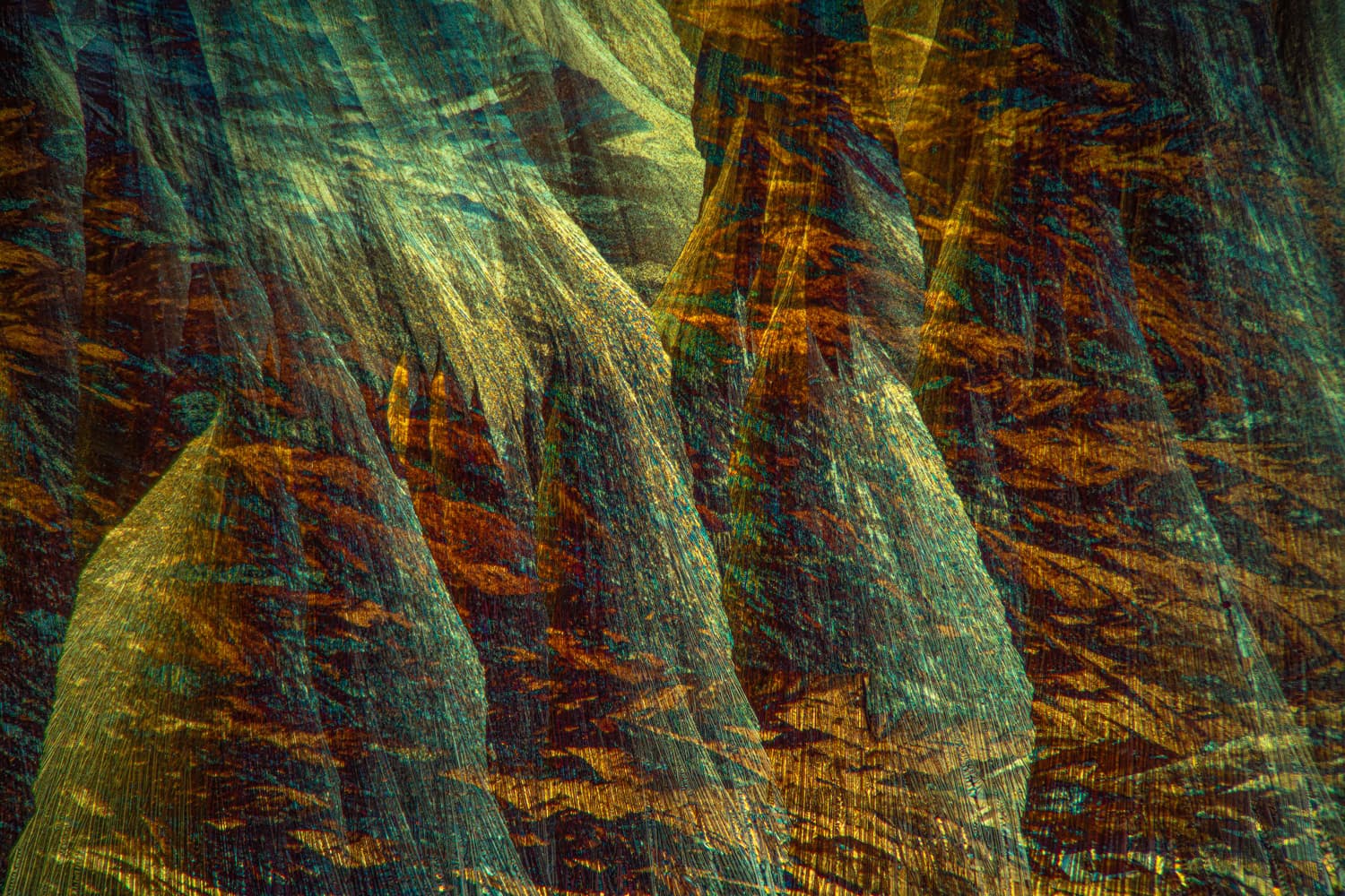 In the Shadows — fine art photography by Bevil Templeton-Smith