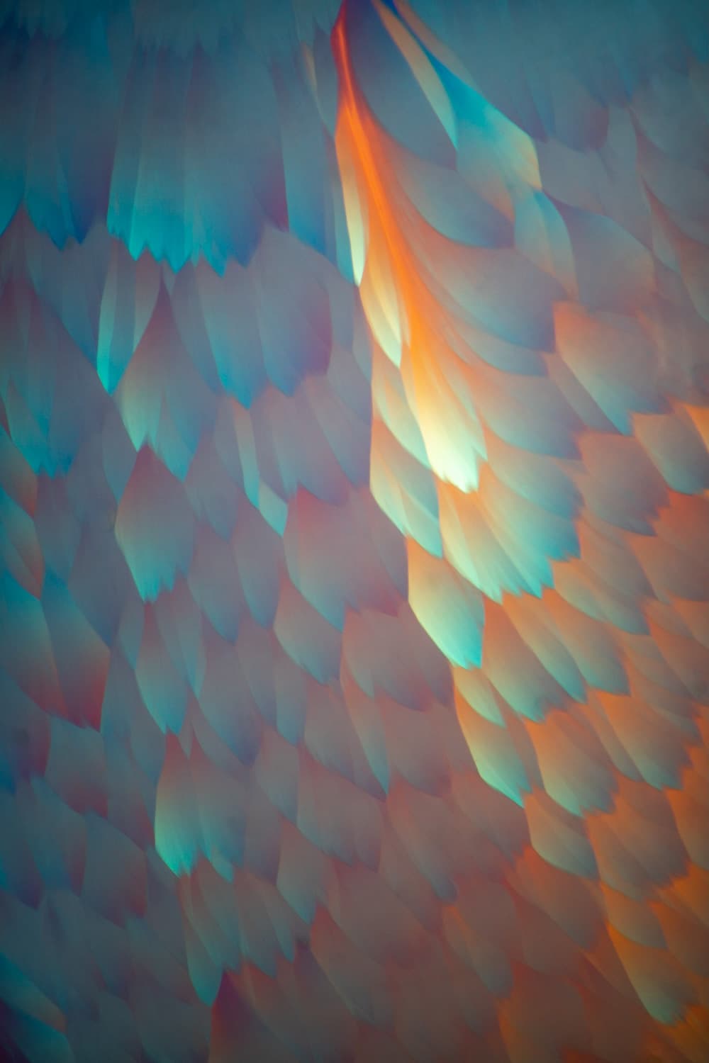 Kingfisher — fine art photography by Bevil Templeton-Smith