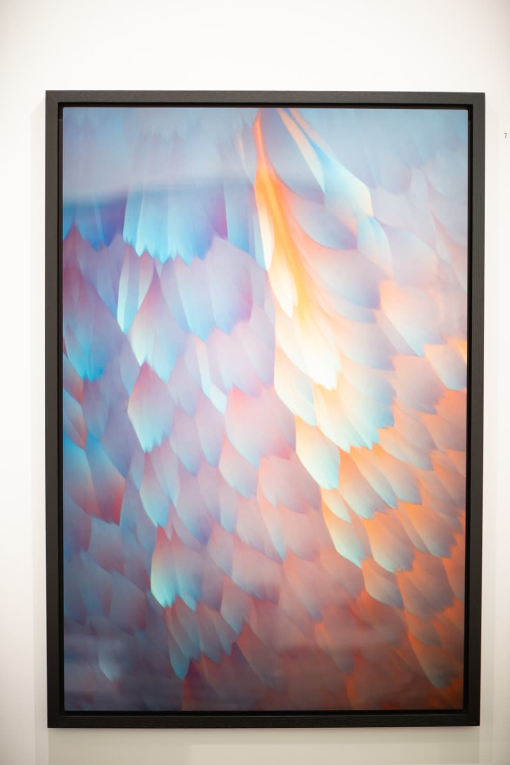 Kingfisher, detail 1 — fine art photography by Bevil Templeton-Smith
